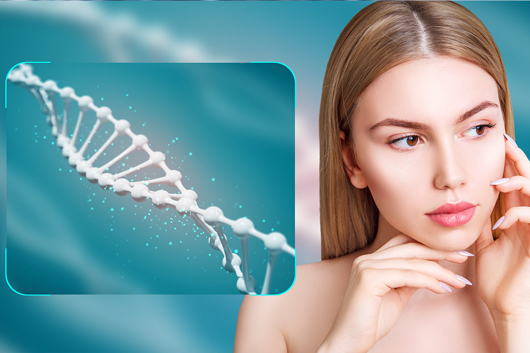 What Are Phytoceramides and Why Are They In Your Skin Cream?